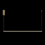 Фото 1 Подвесной светильник Maytoni MOD246PL-L24BSK