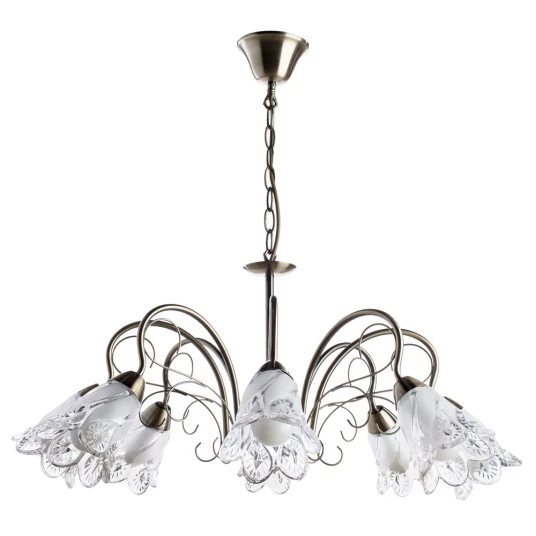 Фото Подвесная люстра Arte Lamp FIORITA A6273LM-8AB