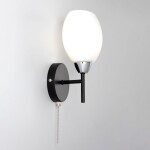 Фото 4 CL148315 Флорида Черн.+Хром Св-к Бра