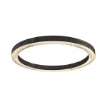 Фото 1 Потолочный светильник C0852-670A black