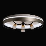 Фото 2 Люстра  660014901