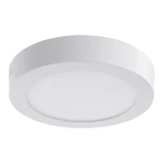 Фото Потолочный светильник Arte Lamp ANGOLO A3012PL-1WH