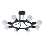 Фото Потолочная люстра Arte Lamp HIGHGARDEN A6063PL-8BK