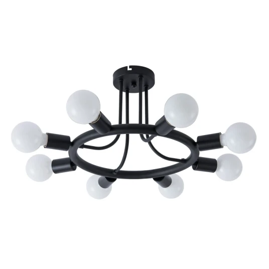 Фото Потолочная люстра Arte Lamp HIGHGARDEN A6063PL-8BK