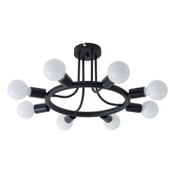 Фото Потолочная люстра Arte Lamp HIGHGARDEN A6063PL-8BK