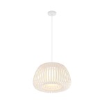 Фото 1 Подвесной светильник Maytoni MOD409PL-01W