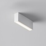 Фото 2 Потолочный светильник Technical C068CL-12W3-6K-W