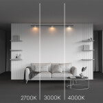 Фото 1 Трековый светильник Technical TR189-1-12W4K-BW