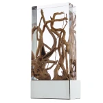 Фото Настенный светильник Divinare SELVA 3200/09 AP-1