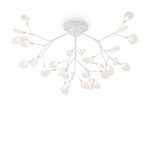 Фото 3 Потолочный светильник Freya FR5049CL-36W1