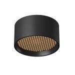 Фото 4 Потолочный светильник Technical C122CL-L7-3K-B