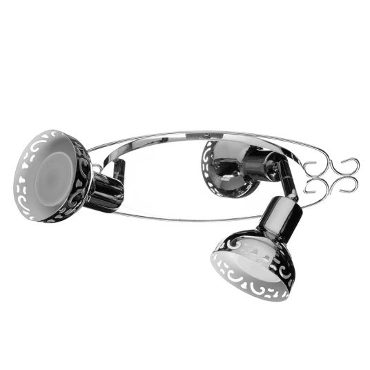 Фото Спот Arte Lamp FOCUS A5219AP-2CC