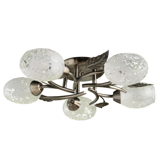 Фото Потолочная люстра Arte Lamp ANETTA A6157PL-5AB