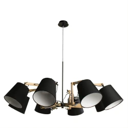 Фото Подвесная люстра Arte Lamp PINOCCHIO A5700LM-8BK