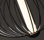 Фото 3 Подвесной светильник Freya FR6131PL-L10B