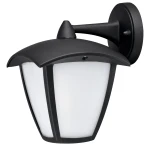 Фото Уличный настенный светильник Arte Lamp SAVANNA A2209AL-1BK