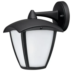 Фото Уличный настенный светильник Arte Lamp SAVANNA A2209AL-1BK