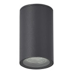 Фото 1 SL9010.712.01 Светильник уличный потолочный ST-Luce серый GU10 1*50W TUBO