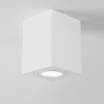 Фото 3 Потолочный светильник Technical C017CL-01W