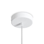 Фото 3 Подвесной светильник Freya FR5484PL-01W