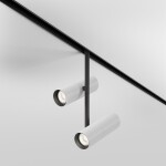 Фото 3 Трековый светильник Technical TR005-2-2X12W4K-BW