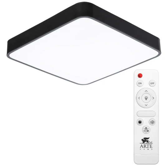 Фото Потолочный светильник Arte Lamp SCENA A2663PL-1BK