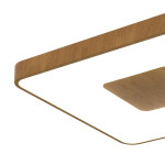 Фото 2 7918 Потолочный светильник COIN