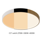 Фото 1 8838 Потолочный светильник CUMBUCO II