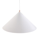 Фото 1 Подвесной светильник Freya FR5397PL-L3W