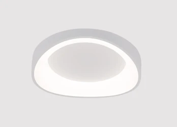 Фото Потолочный светильник Arte Lamp SUALOCIN A2698PL-48WH