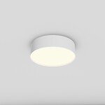 Фото 3 Потолочный светильник Technical C032CL-24W3K-RD-W