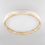 Фото 3 CL753452G ENZO Клен LED Св-к с пультом