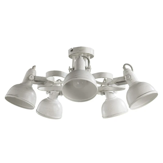 Фото Потолочная люстра Arte Lamp MARTIN A5216PL-5WG