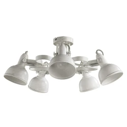 Фото Потолочная люстра Arte Lamp MARTIN A5216PL-5WG