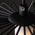 Фото 3 Подвесной светильник Freya FR6131PL-L13B