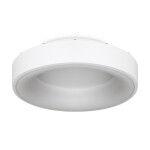 Фото 4 Потолочный светильник Freya FR6118CL-L45W