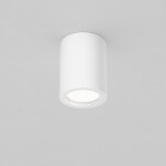 Фото 3 Потолочный светильник Technical C001CL-GU10-W