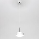 Фото 4 CL712S120N Тао Белый Св-к Подвес LED 12W*4000K