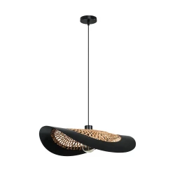 Фото Подвесной светильник Arte Lamp WOODSTOCK A7059SP-1BK
