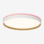 Фото 1 CL750400R ETALON Белый+Бук с пультом и RGB