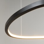 Фото 1 Подвесной светильник Maytoni MOD072PL-L28B3K