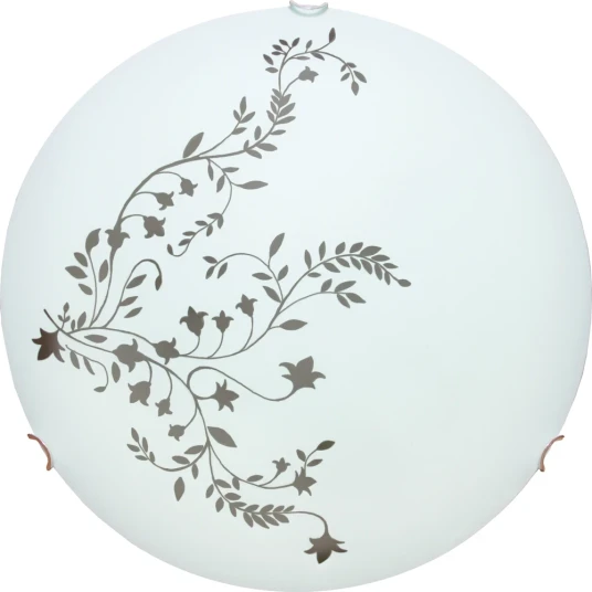 Фото Потолочный светильник Arte Lamp ORNAMENT A3820PL-2CC