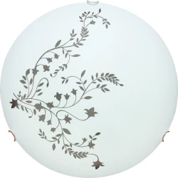 Фото Потолочный светильник Arte Lamp ORNAMENT A3820PL-2CC