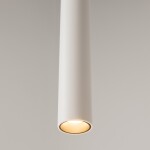 Фото 2 Подвесной светильник Maytoni MOD159PL-L6WK