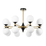 Фото Люстра на штанге Arte Lamp MIMOSA A3649PL-16PB