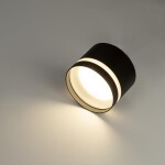 Фото 2 CL002C11 Hardy Черный Св-к Потолочный