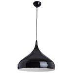 Фото Подвесной светильник Arte Lamp HELMET A3266SP-1BK