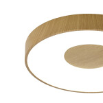 Фото 3 7568 Потолочный светильник COIN