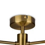 Фото 5 Подвесной светильник Freya FR1012PL-04BS