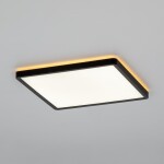 Фото 5 CL748K301 NORMA Черный с подсветкой